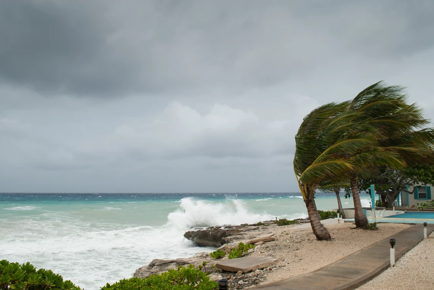 Stormy ocean scene with strong winds, crashing waves, and swaying palm trees, emphasizing the importance of emergency preparedness during hurricane season.