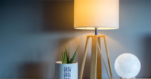 Lamp with a white shade and wooden tripod base, next to a decorative pot labeled "GROW GROW GROW" containing a green plant, and a glowing moon-shaped lamp, set against a neutral wall.